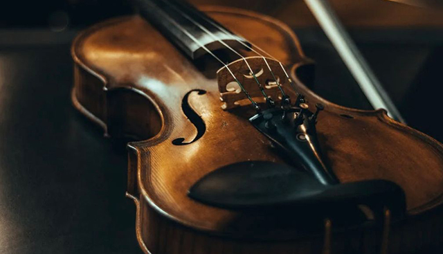 violin